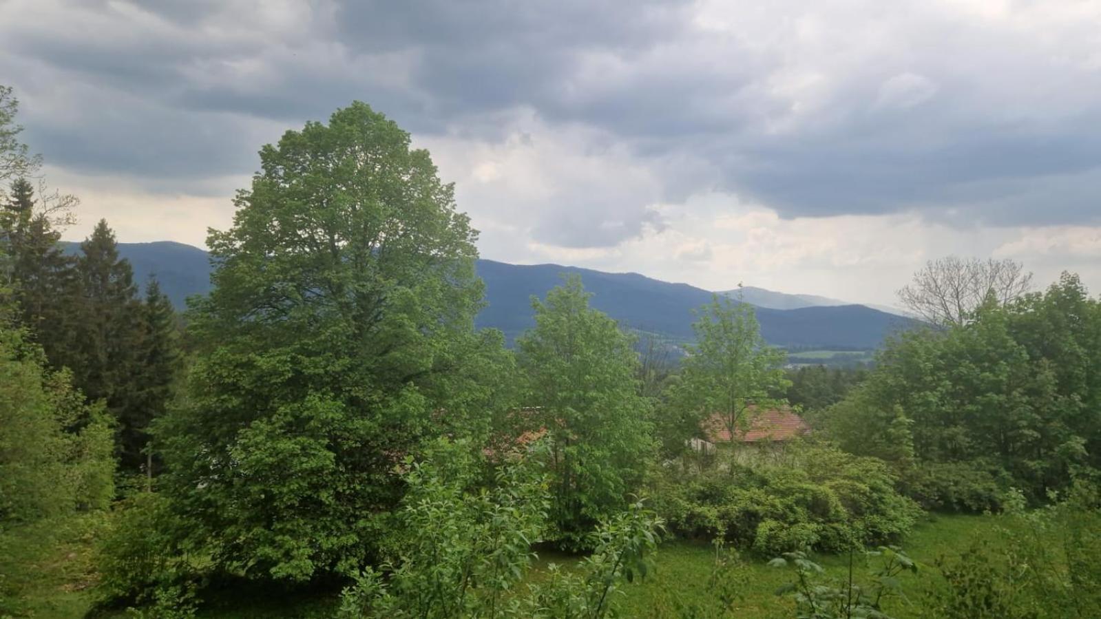 Schoene Unterkunft In Lohberg Mit Grillplatz Und Balkon Eksteriør bilde